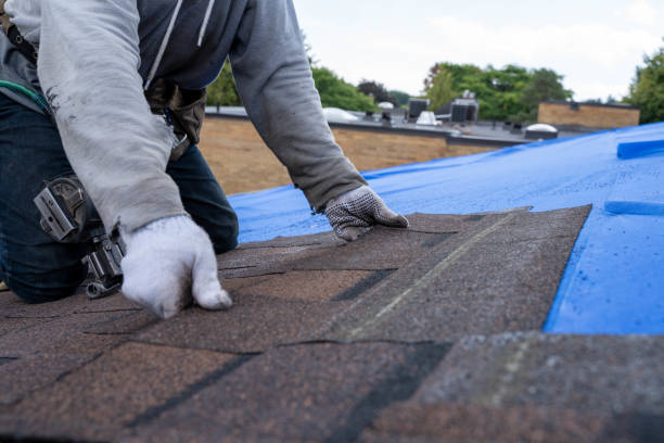 Roof Gutter Cleaning in Milford, PA